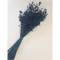 BOS Gedroogde Lino vlas blauw, 50 gram