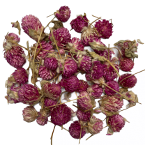 Losse bloemhoofdjes Purple daisy, 24 stuks