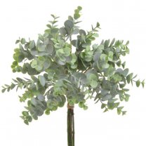 Kunst Bundel met zachtgroen eucalyptus blad, cm