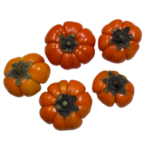 Solanum, VERSE pompoentjes, 5 stuks