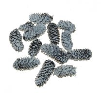 Dennenappeltjes, pinecone spruce white-wash,  3-5cm