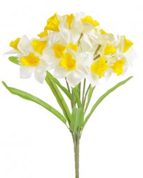 Narcissenboeket wit met geel, 40cm
