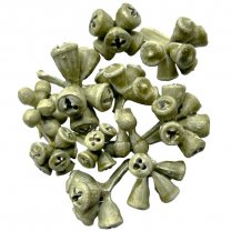 Eucalyptus bells trosjes olijfgroen, 50 gram
