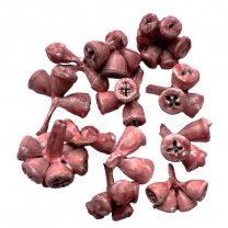Eucalyptus bells trosjes wax roze, 50 gram