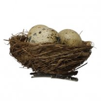 Nest met drie eitjes op super handige clip, 8cm