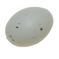 50% KORTING; Wit plastic ei met accenten, 5cm, 3 stuks