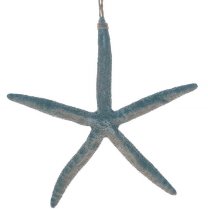 Blauwe zeester van steen, 21.5cm