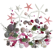 Grote gemengde roze en witte schelpenmix, kunst vetplantjes en deco