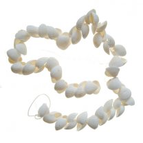 1 + 1 GRATIS; Slinger met witte kleine chippie schelpen, 50 cm