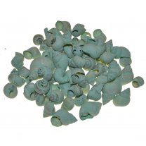 Mintgroen Umachi schelpen, 50 gram