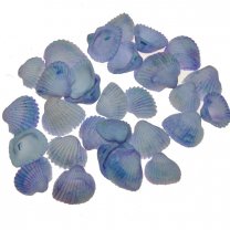Lichtblauw-paarse schelpen, chippie, 2-3cm, 100 gram