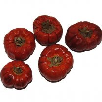 Solanum, Gedroogde pompoentjes, 5 stuks