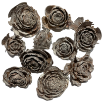 Cedar rose white-wash, 40 stuks, 50 gram