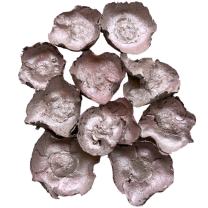 Coco flowers roze parelmoer, 50 gram