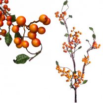 Meidoorntak met prachtige oranje bessen, 90 cm