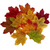 10 esdoornbladeren in verschillende kleuren, 8cm