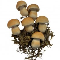 Kunstpaddenstoelen 4-5cm 6stuks